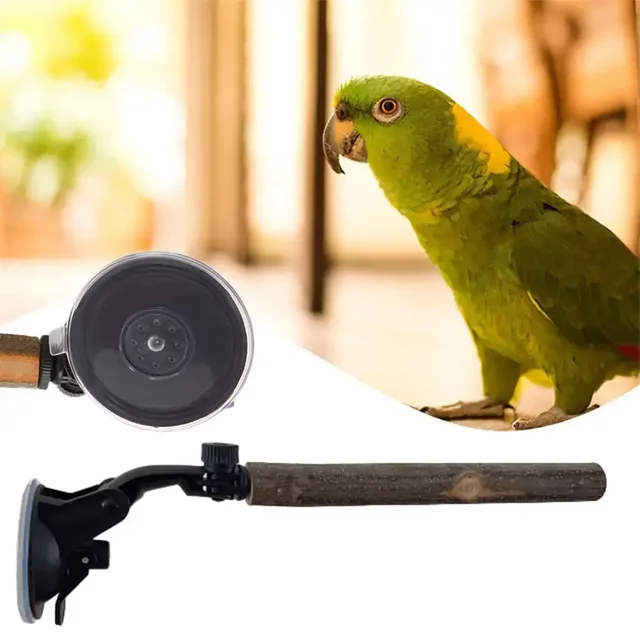 Wood Parrot Perch Prevent Slip Interactive Bird Window Perch Stand With Suction Cups For Small Medium Bird 4
