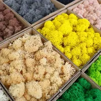 Artificial Green Plants Eternal Life Moss DIY Crafts Grass Garden Home Room Decor Mini Landscape Fake Grass 20/40/100g 2