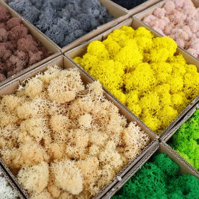 Artificial Green Plants Eternal Life Moss DIY Crafts Grass Garden Home Room Decor Mini Landscape Fake Grass 20/40/100g 2