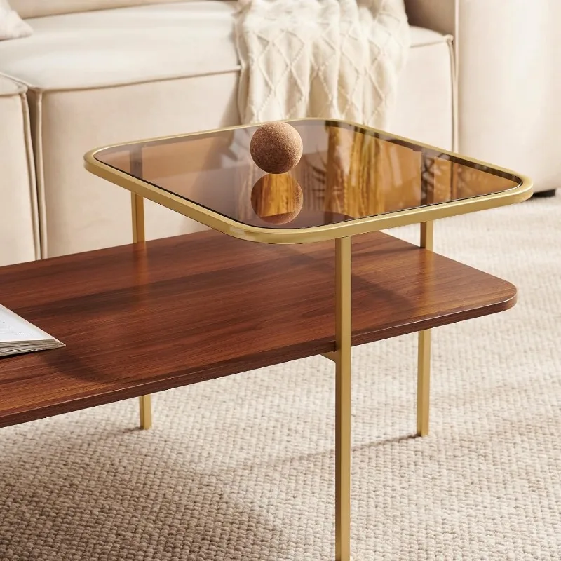 Modern Glass and Wood Coffee Table for Living Room, Mid-Century Brown Glass Coffee Table, Double Layer Center Table. 5