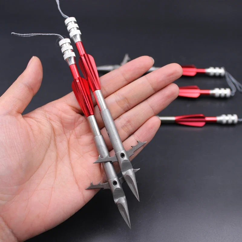 https://ae01.alicdn.com/kf/S853855e720fc49e2bc1ed73e0fa9fdafZ/1pcs-Stainless-Steel-Shooting-Fish-Dart-with-Tail-Wing-Outdoor-Fishing-Tools-Slingshot-Hunting-Archery-Accessories.jpg