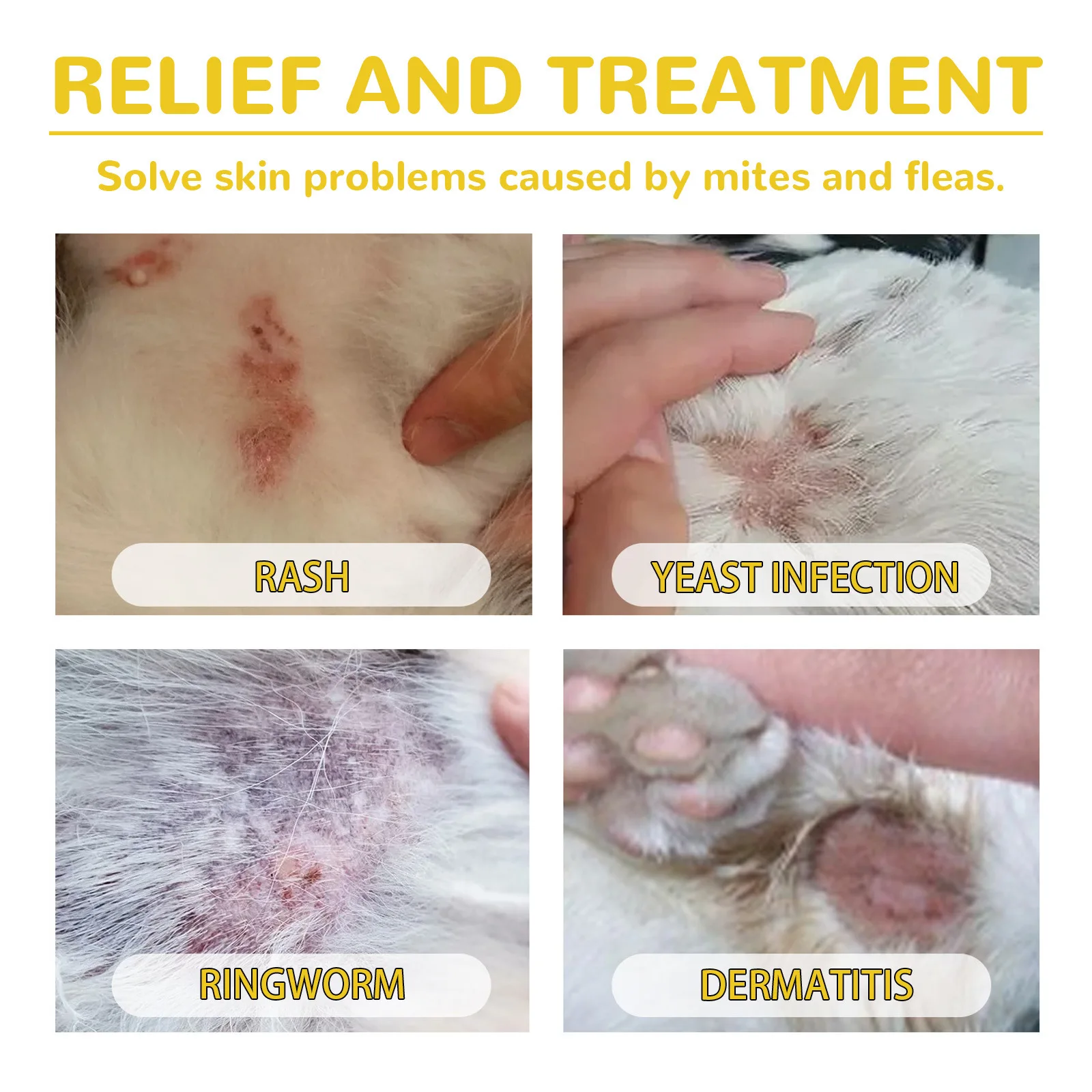 Pet Extracorporeal Insect Repellent Drops Cat and Dog Cleansing Extracorporeal Flea Lice Tick Skin Anti-Itching Care