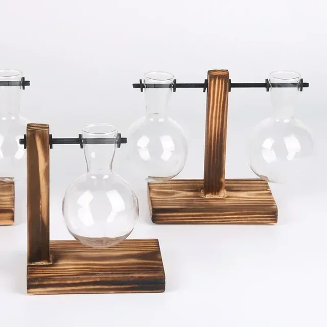 Hydroponic Glass Plant Vase 3