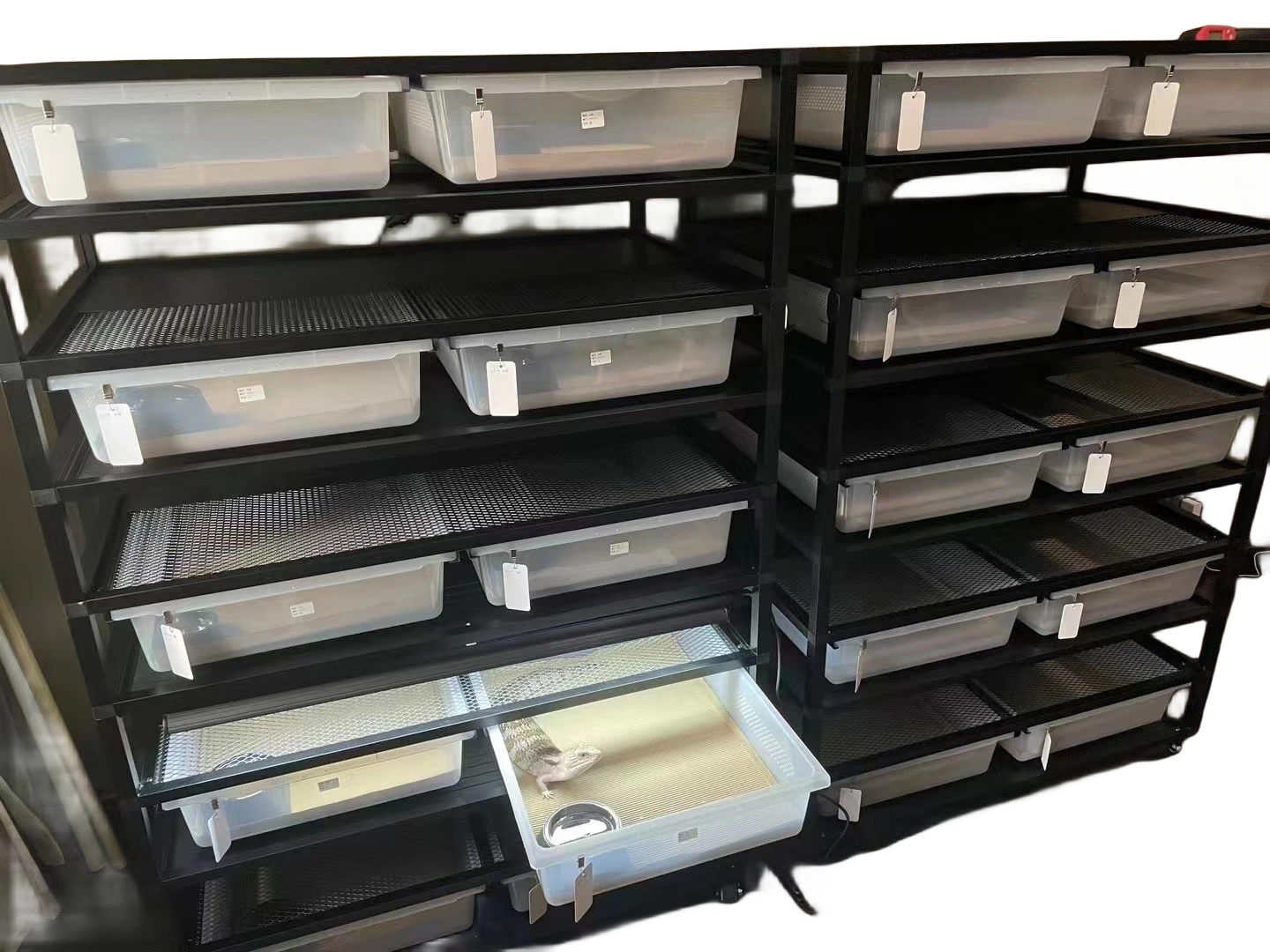 PP PVC Snake Enclosure Snake Hatchling Breeding Rack Reptile