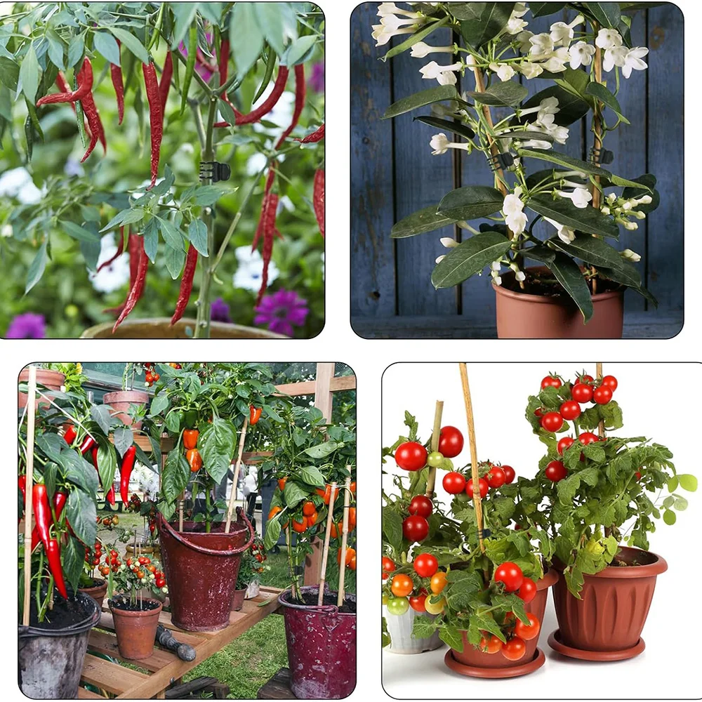 20-50Pcs Large Size Garden Plant Clips for Orchid Flower Support Fruit Vegetable Stem Vine Tied Stakes Grafting Garden Tools plant clips plastic plant clips