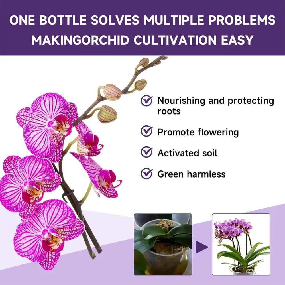 Description Picture 6 of item50ml Orchid Special Fertilizer Rooting Liquid Orchid Liquid Fertilizer Agent Potted Plant Food Supplement Organic Fertilizer