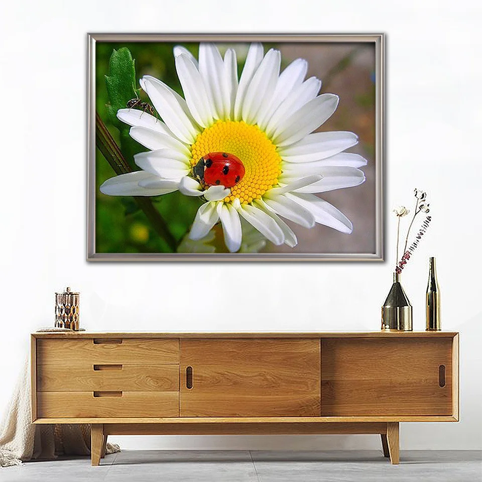 25.jpg_.webp 25.jpg_.webp