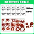 250pcs CS 1.0