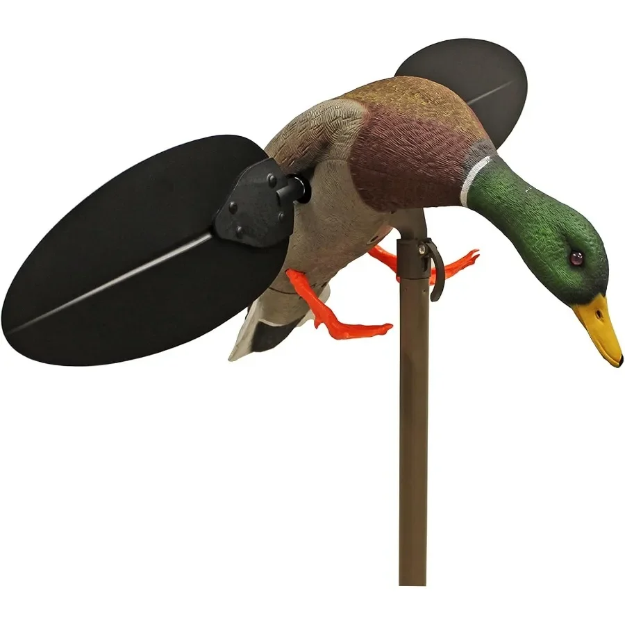 description