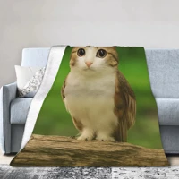 Internet Famous Meowl Cat Owl Meme Blanket Super Soft Velvet Lightweight For Sofa Bed Office Travel Picnic All Season 4