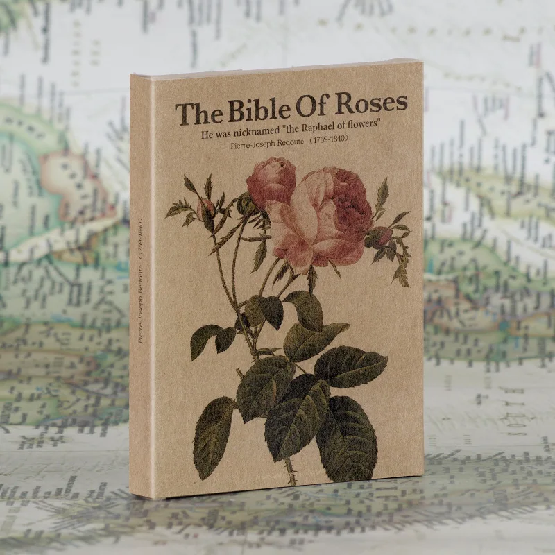 24 Sheets/Set The Bible of Rose Hand Drawn Kraft Paper Postcard DIY Retro Greeting Message Cards Christmas and New Year Gifts