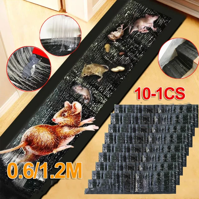 Large Mouse Glue Traps with Enhanced Stickiness - China Mouse Glue