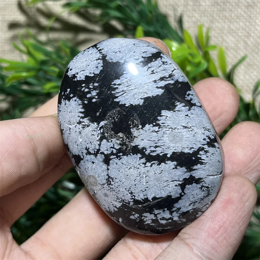 Natural Crystal Snowflake Black Obsidian Palm  Stone Crystal  Reiki High Quality Beauty Healing Quartz Minerals Home Decoration 4