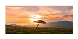 Coastal Sunset Canvas Art: Nordic Inspired Wall Décor - 40x80cm No Frame (4)