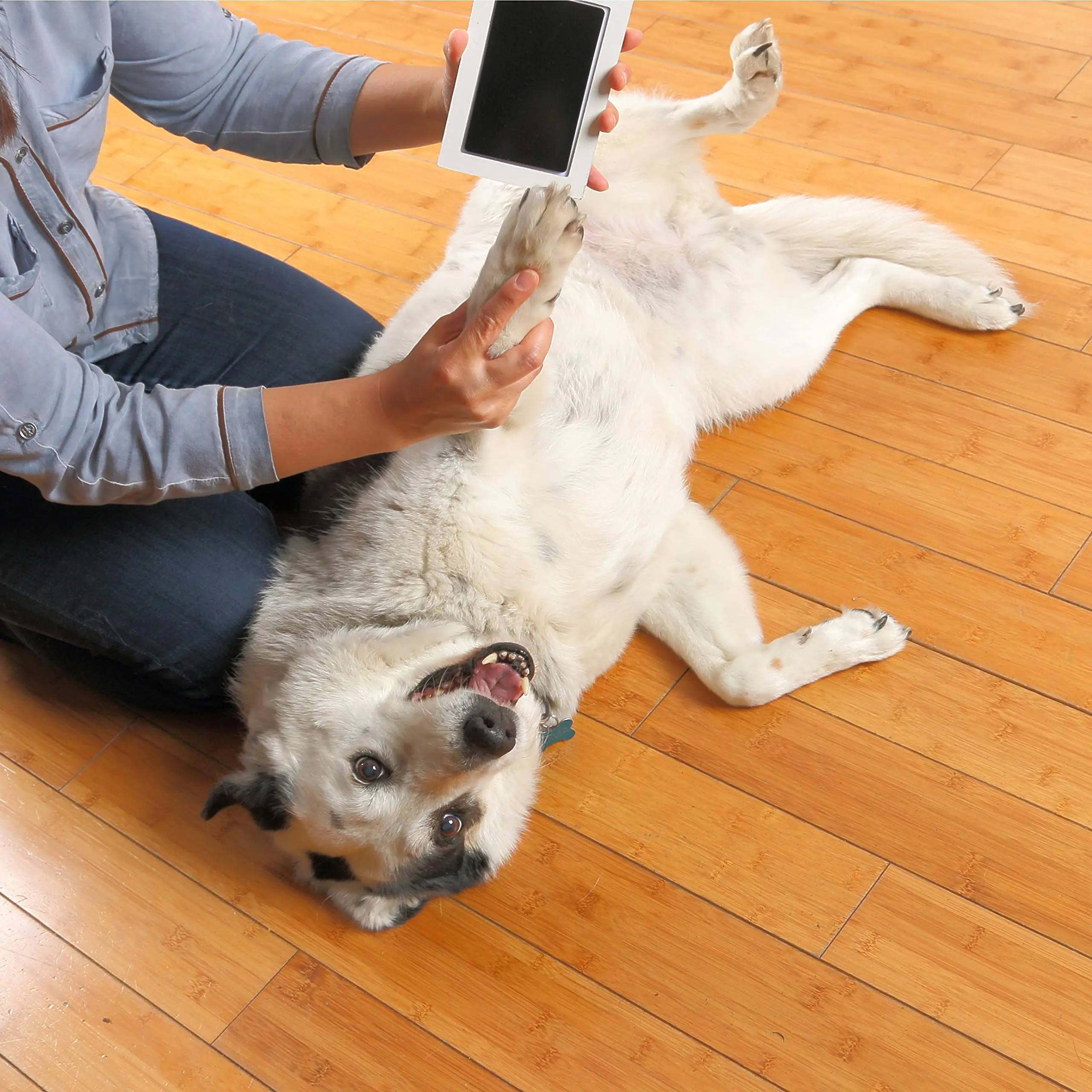 Pet Handprint Stamp Clean Touch Pad for Pet Handprints Footprints