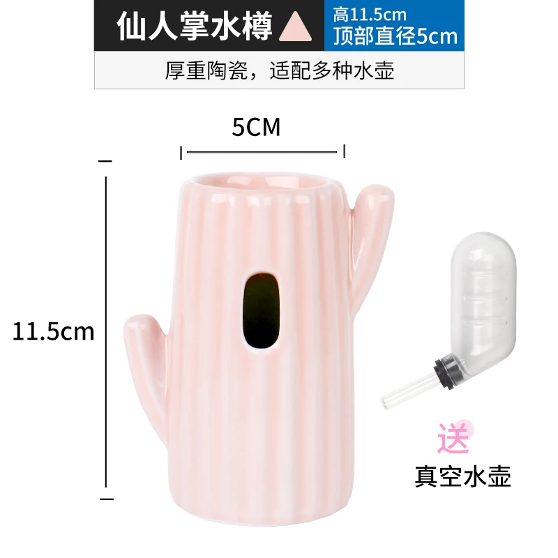 Cactus Kettle 3