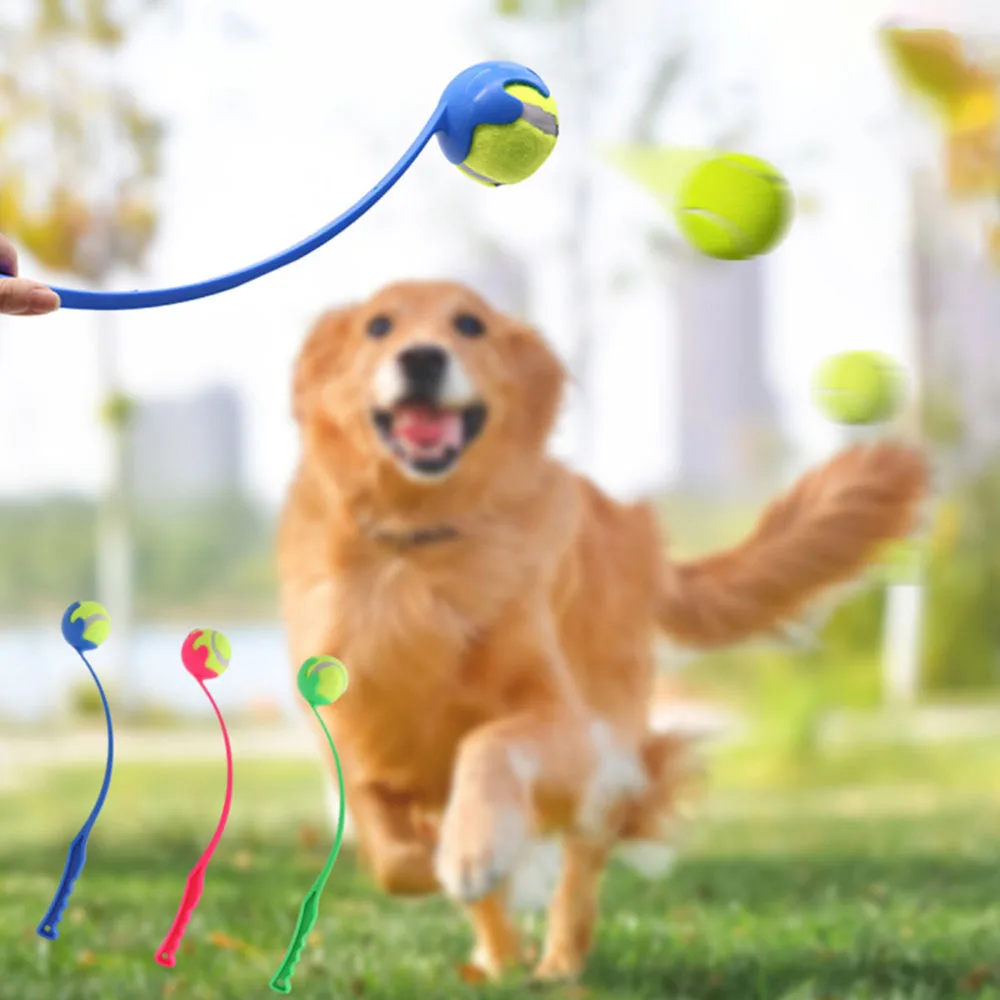 Hands-Free Dog Ball Launcher 2