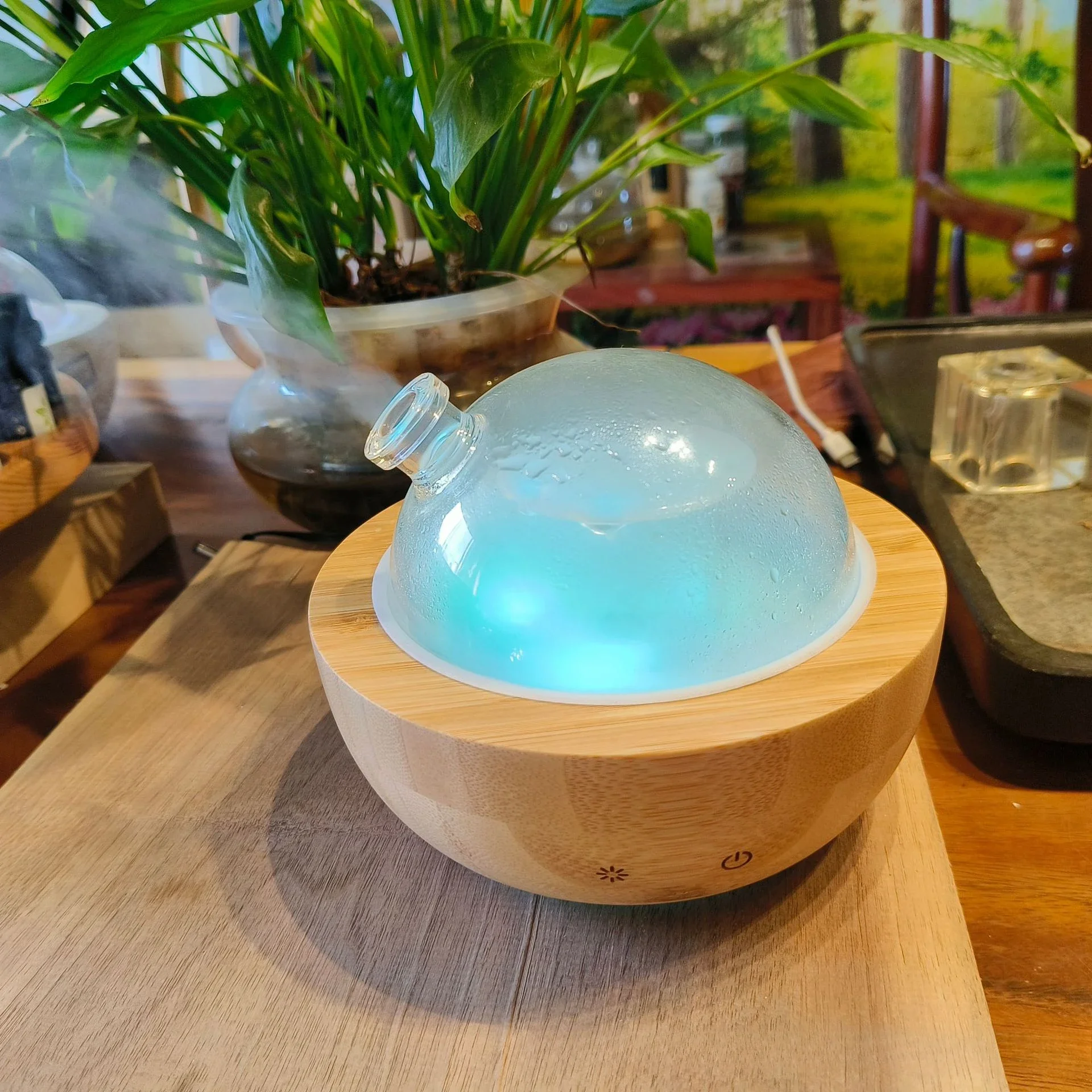 Essential O Diffuser With Real Wood Base, 200ml Ultrasonic Aromatherapy Diffuser, Glass Dome Humidifier, LED Light_voghion.com