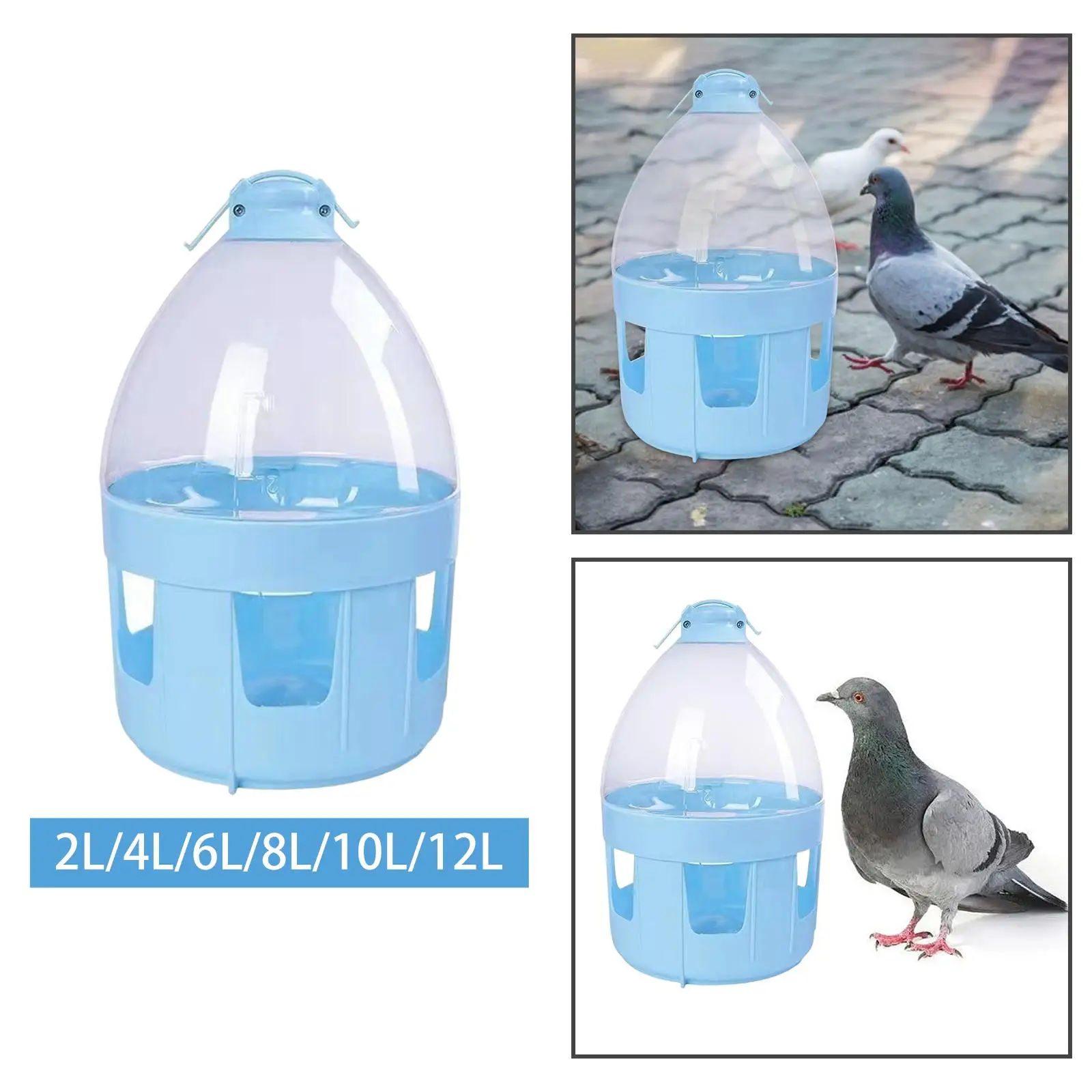 Pigeon Automatic Water Feeder Portable Hanging Dispenser Pet Supplies Pigeon Pigeon Automatic Water Feeder Portable Hanging Dispenser Pet Supplies Pigeon