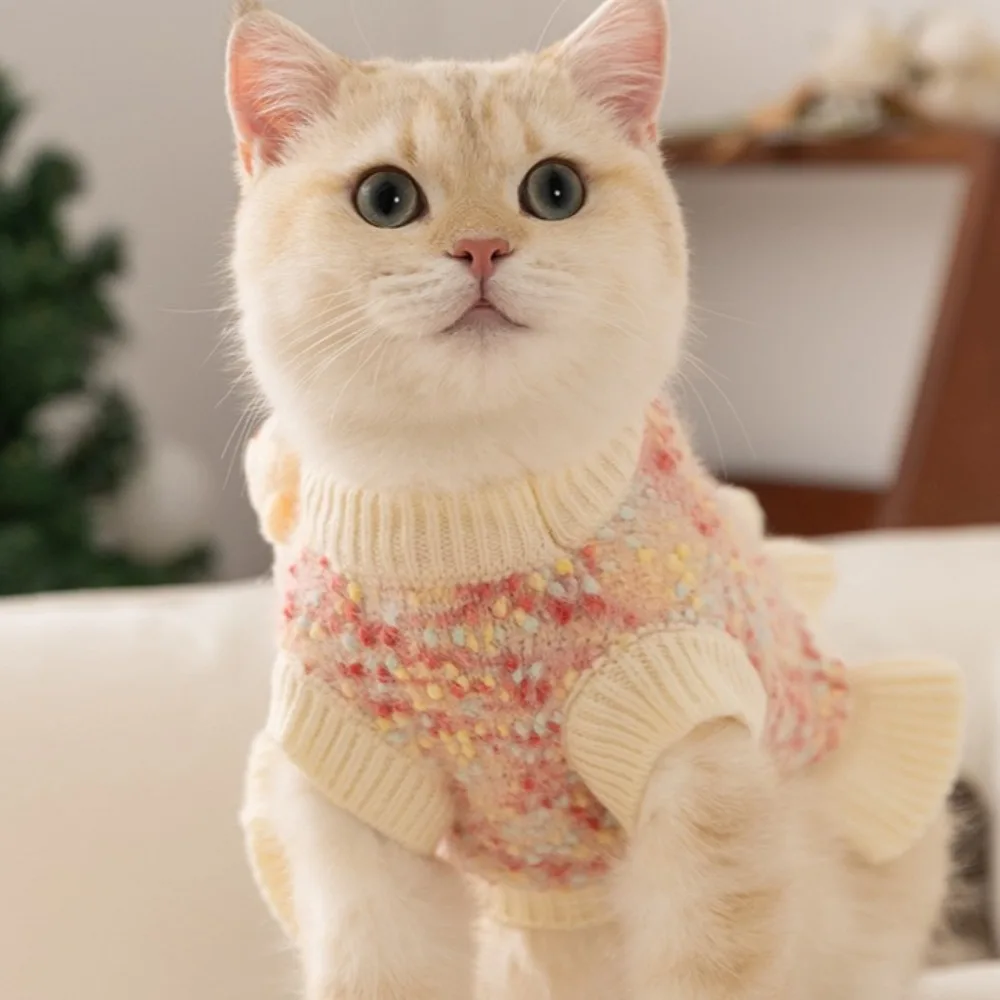 겨울용 따뜻한 강아지 니트 스웨터 곰 패턴 강아지 옷 컬러풀 도트 강아지 터틀넥 럭셔리 소프트 고양이 풀오버 애완동물 스웨터 의류