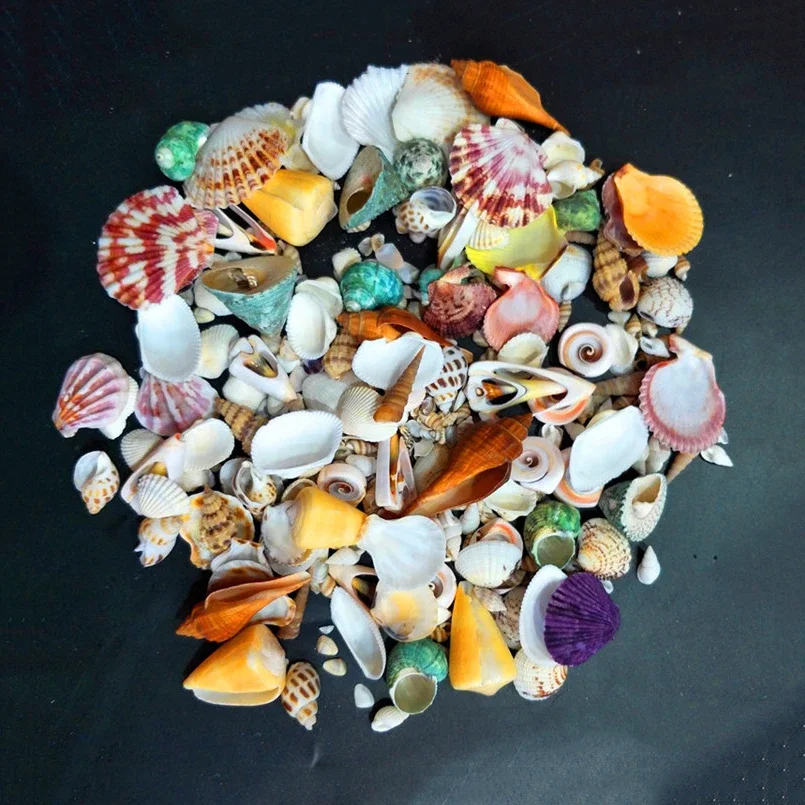 Resin Starfish Ornaments Natural Shell Ornaments 250g Shell Union Conch Alliance Colorful Diy Small White Shells Starfish Sea Things Damaged Handicraft Making
