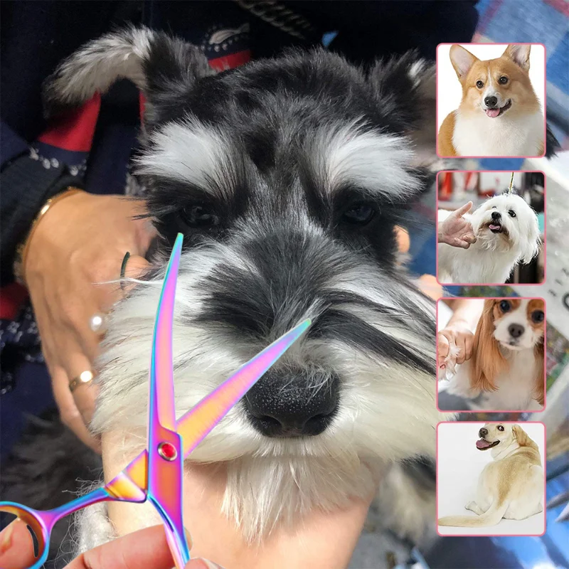7.5inch Up Curved Pet Grooming Scissors Right and Left Hand Dog Grooming Hair Shears Professional Hairdressing Scissors