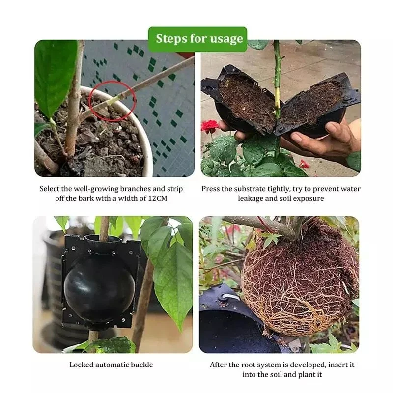 10Pcs Reusable Plant Root Growing Box Cutting Grafting Rooting Ball for Garden Rooting Propagation plant rooting ball