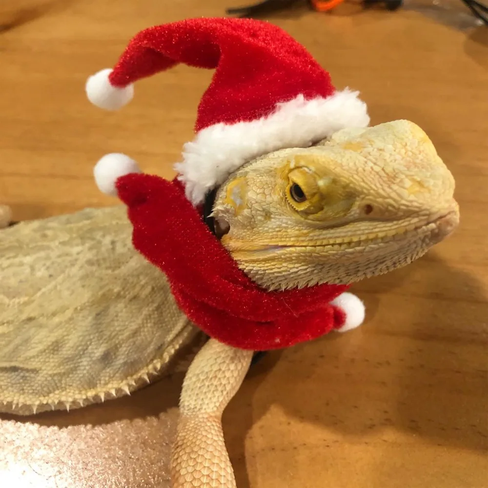 1 Set Lizard Santa Hat Reptile Hats with Scarf Holiday Dress Up Soft Christmas Lizard Santa Hat Reptile Apparel Clothes Outfits