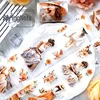 200cm No-Repeat Pre-Cut Beautiful Girl PET Tape Matte Transparent Decortaive Adhesive Tape For Stickers Scrapbooking Journal DIY 3