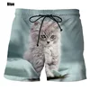 New Fashion Cute Cat Graphic Board Shorts For Men 3D Printed Casual Unisex Funny Animal Beach Swimming Shorts Men Trunks 6