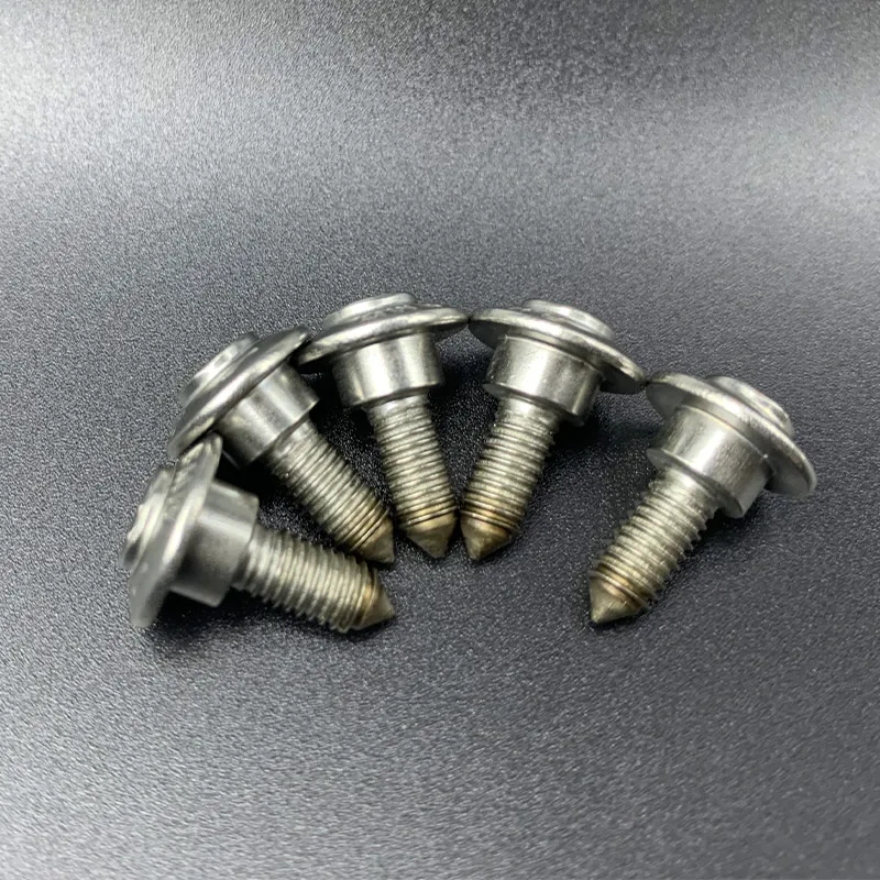 Premium Stainless Steel Screws