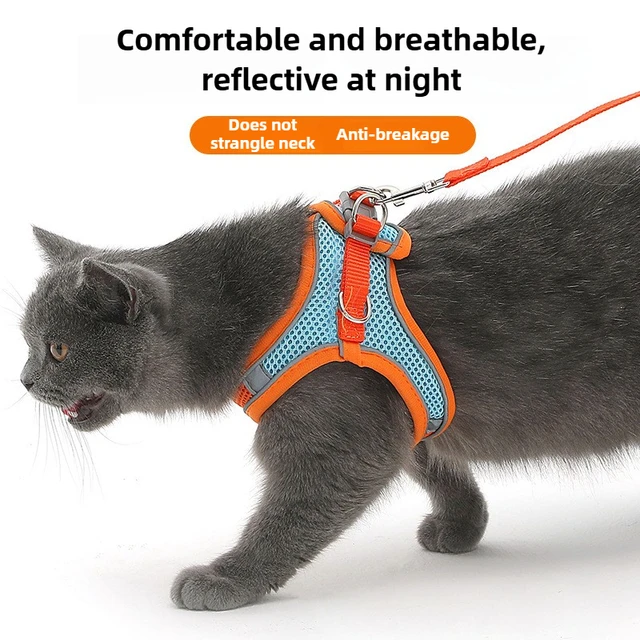 Pet Things Cat Accessories Cute Adjustable Cat Collar and Leash Set for Walking Safe Reflective Soft Comfortable Vest Pet Things Cat Accessories Cute Adjustable Cat Collar and Leash Set for Walking Safe Reflective Soft Comfortable Vest