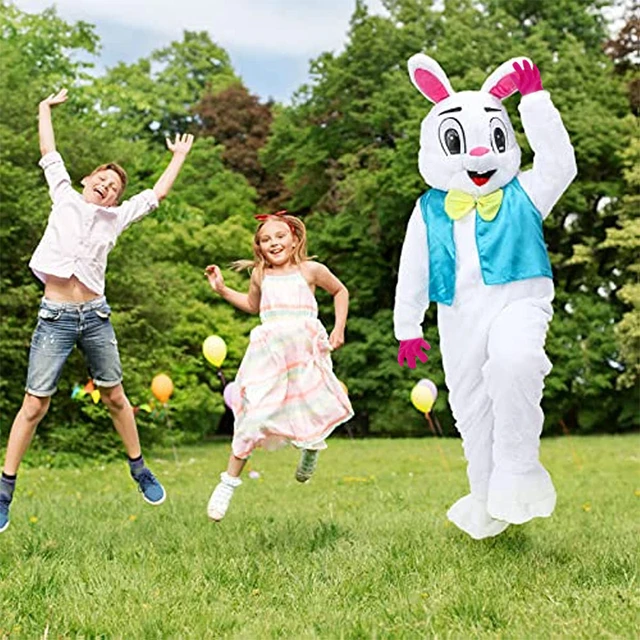 Costume de mascotte de lapin de Pâques pour adultes, robe d'Halloween et de  Noël, accessoires de performance complets - AliExpress