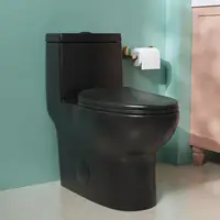 Elongated One Piece Toilet Dual Flush Toilet with Comfortable Seat Height Powerful Quiet Modern Standard Toilet for Bathroom 1