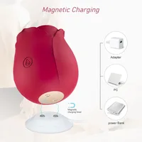 Rose-Spielzeug Saugen Vibrator für Frauen Ei Klitoris Sauger Stimulator Lecken Erwachsene Waren Saugen Sex Spielzeug Weibliche Wiederaufladbare 2