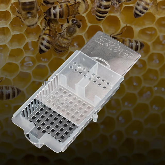 Bee Tools Meee Szállítási Ketrecek Méhészeti Berendezések Queen Ház Méhkas Fehér Átlátszó Méh Ketrec Méhek Hajózási