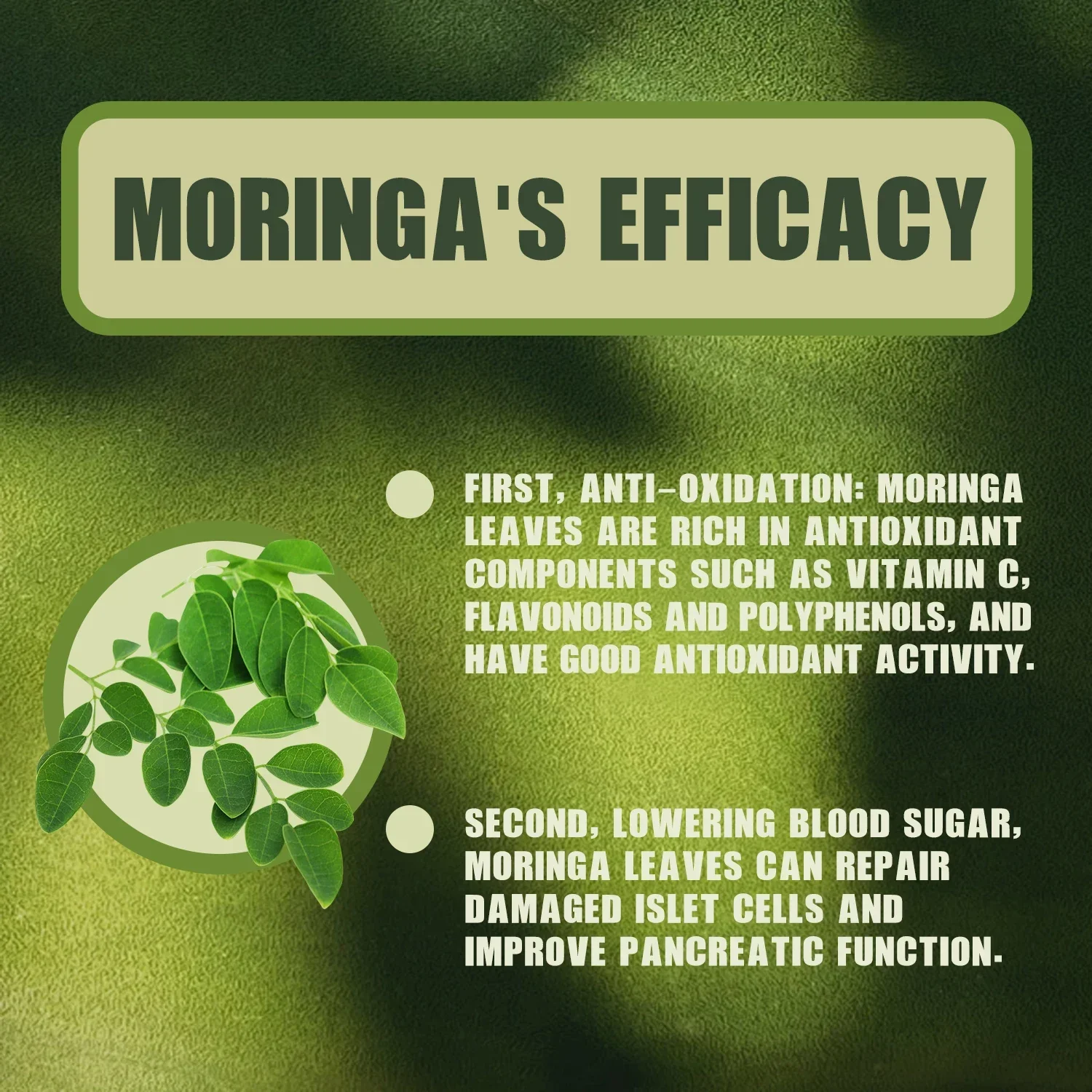 Moringa capsules Moringa-Healthy Joints Supports Weight Management and Gut Health Boosts Metabolism