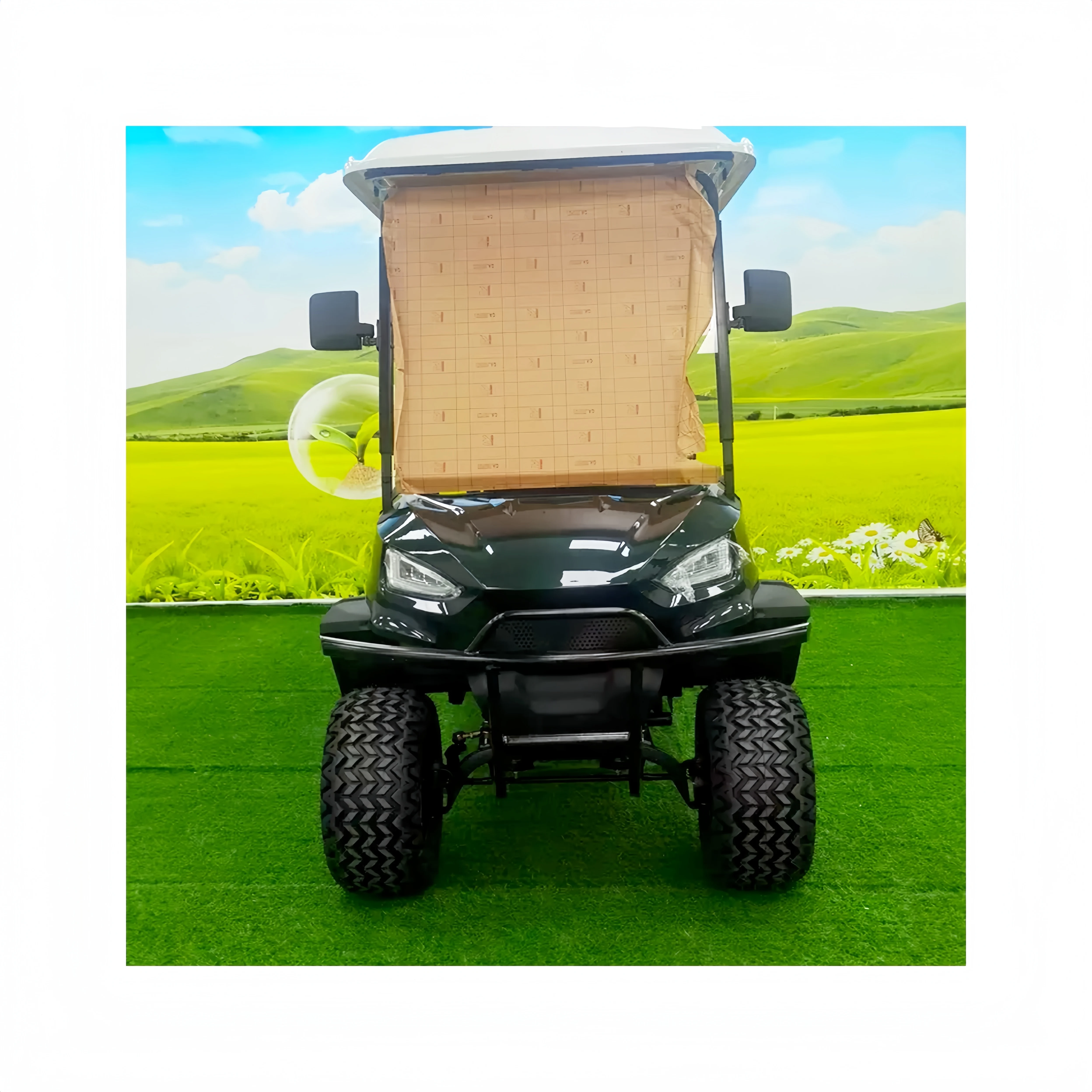 공장에서는 전기 골프 카트, 성인용 오프로드 차량, 사냥용 카트, 48V 60V 4000W, 2+2인승 전기 골프장 카트를 수출합니다.