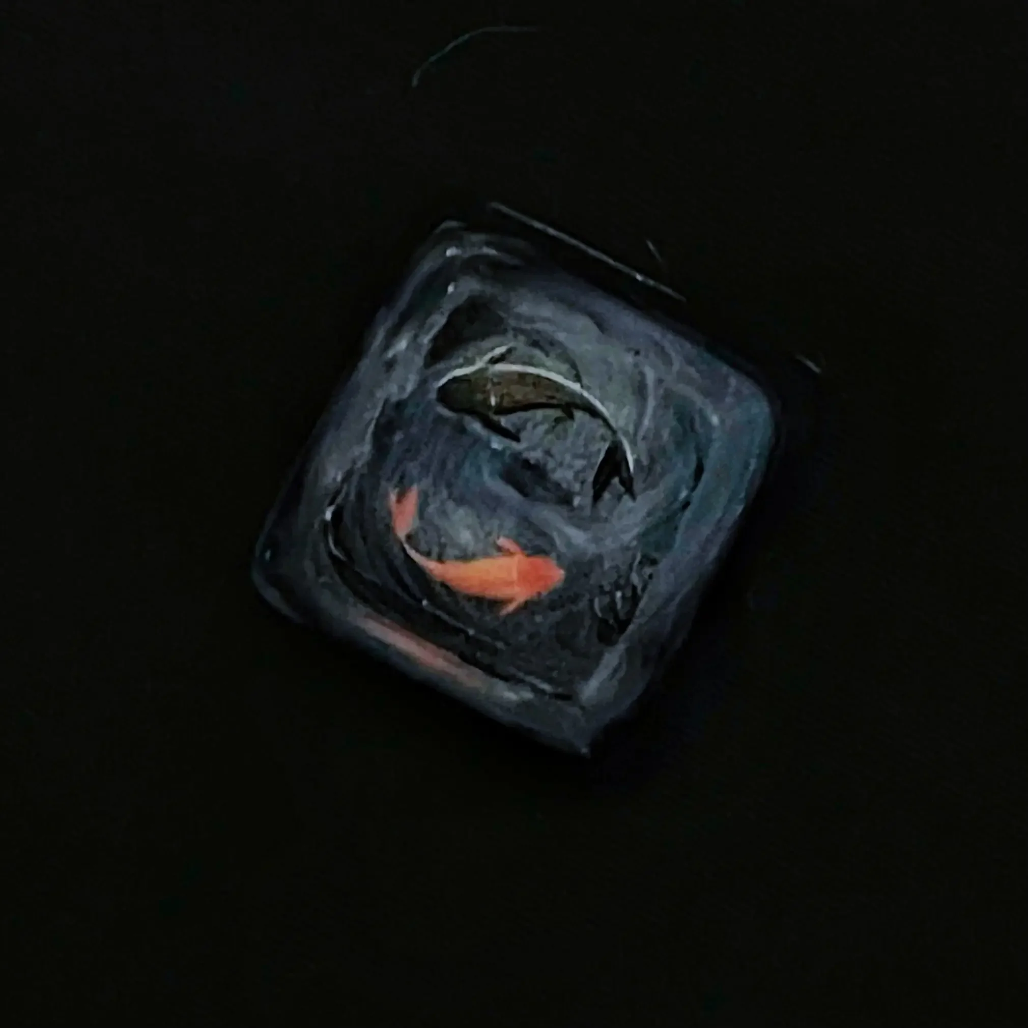 Handmade Pond Peixe Artesanal Resina Keycaps Teclas Esc Faça Você Mesmo Teclado Backlit Mecânico Rgb Keycap para Anne Pro Gk64 - Imagem 4