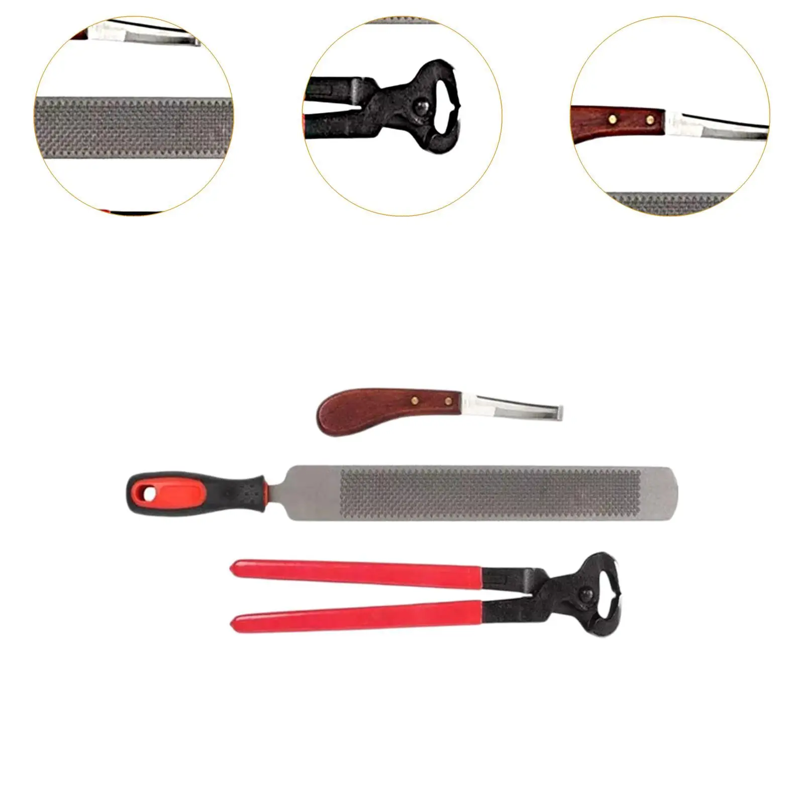 3 Pieces Horse Hoof Trimming Horseshoe Pliers Nipper Farrier Tools for Horses, Cows, Sheep, Equestrian Supplies Horse Hoof File 5