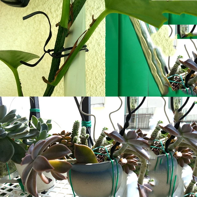 Kerti Keret Üzemanyag -Támogató Üzem Tartó Védelmi Tálca Bambooklimbers Szeletelő - Image 5