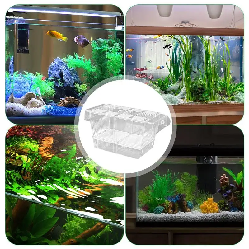 Aquarium Fish Incubator Breeding Box Hatchery Tank