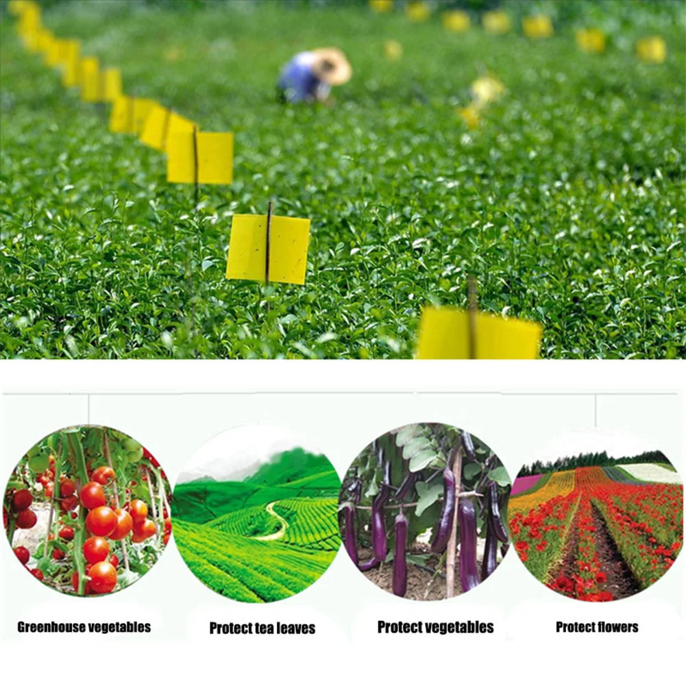 Double-sided-Sticky-Trap-Insect-Board-Mosquito-Trap-Board-Insect-Sticker-Control-Trap-Stick-Garden-Accessories.jpg Kétoldalas, Ragacsos Csapda Rovarleszka Szúnyog Csapdabeszka Rovarmatrica Vezérlő Bot Kerti Tartozékok Növényi Csapdák - Image 4