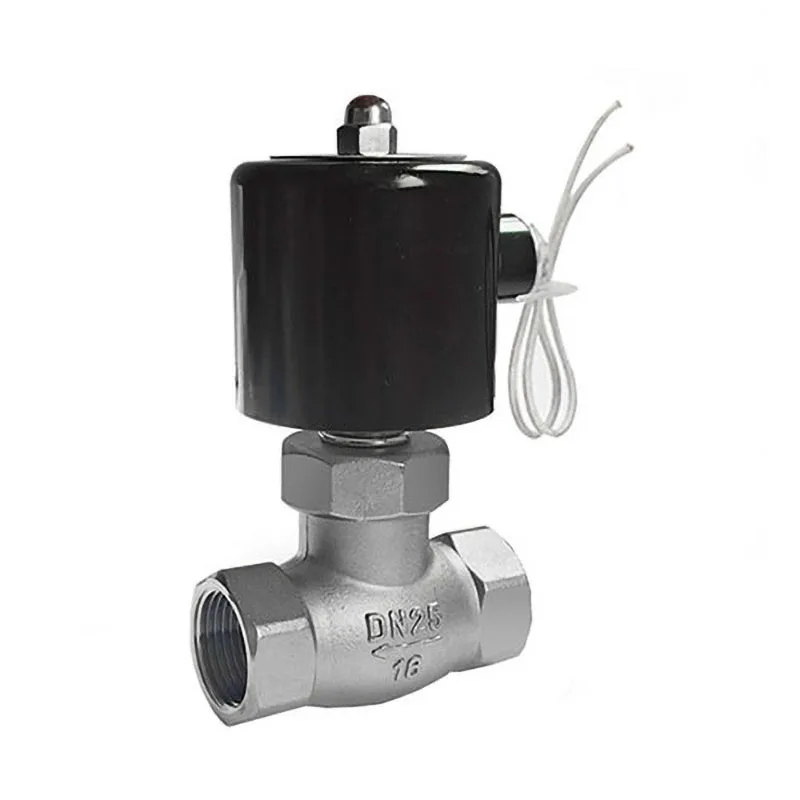 Elettrovalvola A Vapore Normalmente Chiusa Da 1 "24V 12V 220V 110V Elettrovalvole In Acciaio Inossidabile