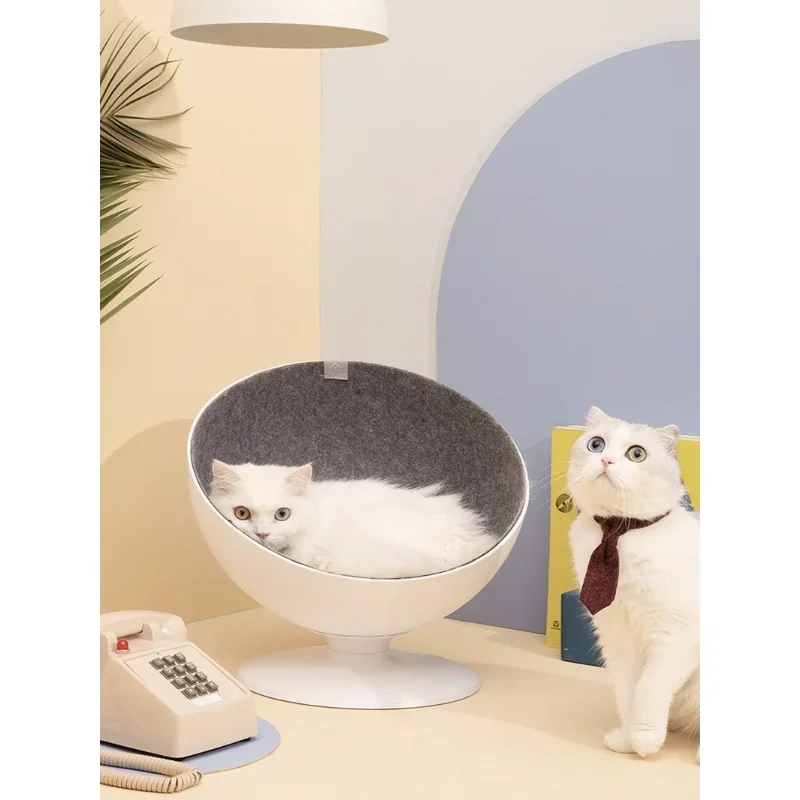 Tail Life Cat Owner Net Red Nest Four Seasons General House Summer Kitten