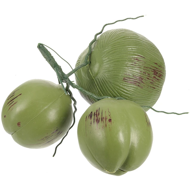 Discover 156+ fake coconuts decoration vova.edu.vn
