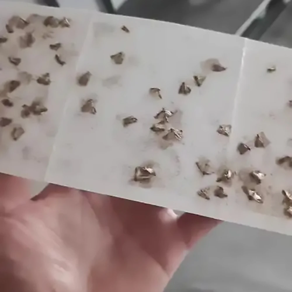 12pcs/set Sticky Rat Boards For Household Use Strong Rat Stickers Cockroach Stickers Sticky Rat Insect Glue Rodent Traps 6
