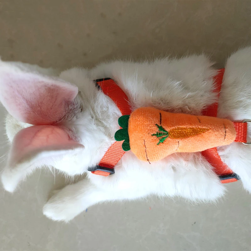Small Animals Outdoor Wakling Supplies Cartoon Style Rabbit Harness and Leash Set Bunnies Guinea Pig Bunny Accessoris Pet