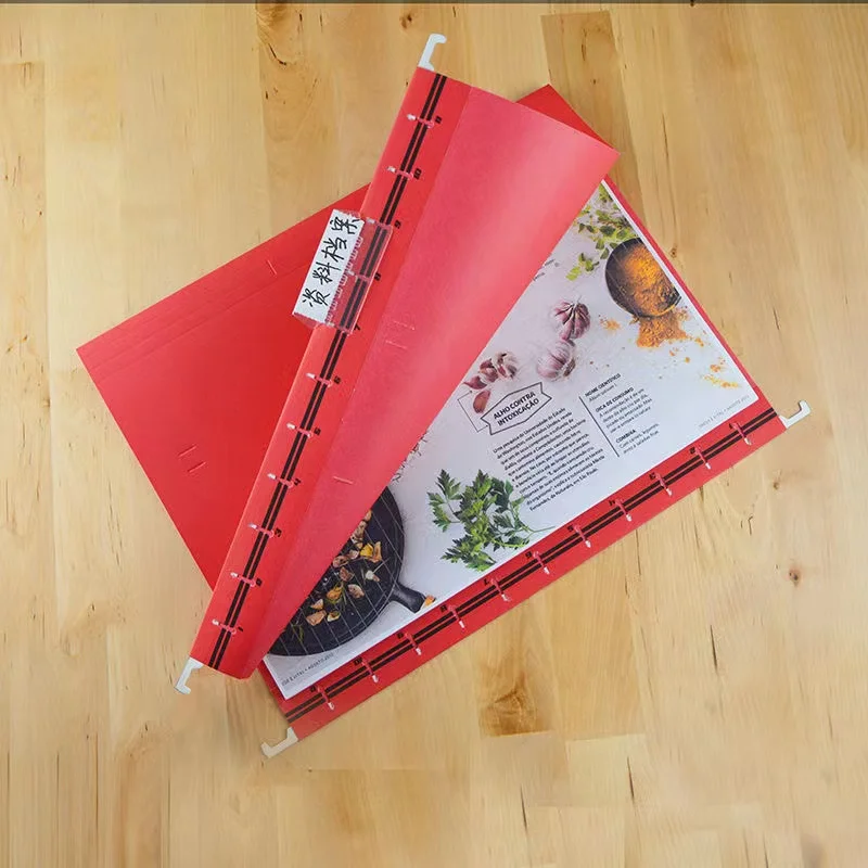 FC Hanging File Folders Organizer with Clear Tabs Extra Capacity Hang Folders Document Holder Reinforced Suspension Files 10Pack
