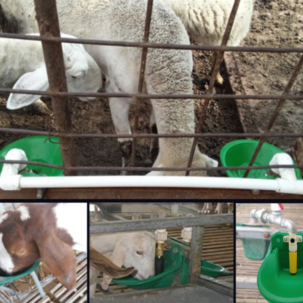 Automatic Drinking Bowl 6